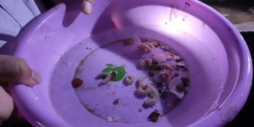 威海市推進(jìn)水產(chǎn)健康養(yǎng)殖 示范場(chǎng)驗(yàn)收與原良種場(chǎng)考察并舉，助力內(nèi)陸水產(chǎn)養(yǎng)殖銷售提質(zhì)增效