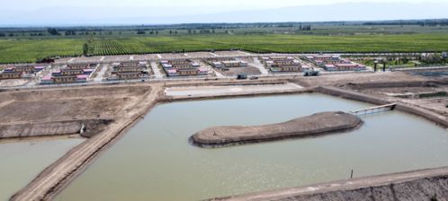 碧水映青山 魚躍產(chǎn)業(yè)興——內(nèi)陸水產(chǎn)養(yǎng)殖開(kāi)辟致富新路徑